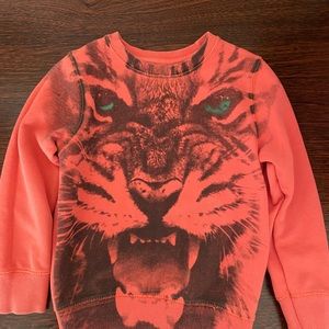 Boys Zara Lion sweatshirt